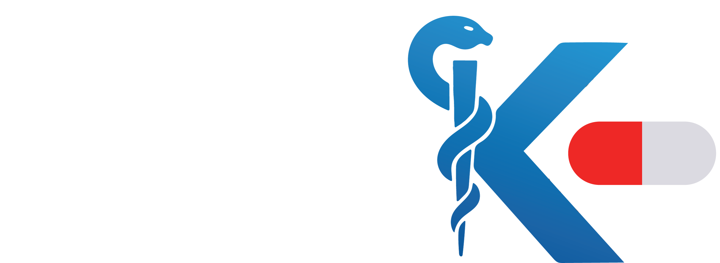 خليل العنين